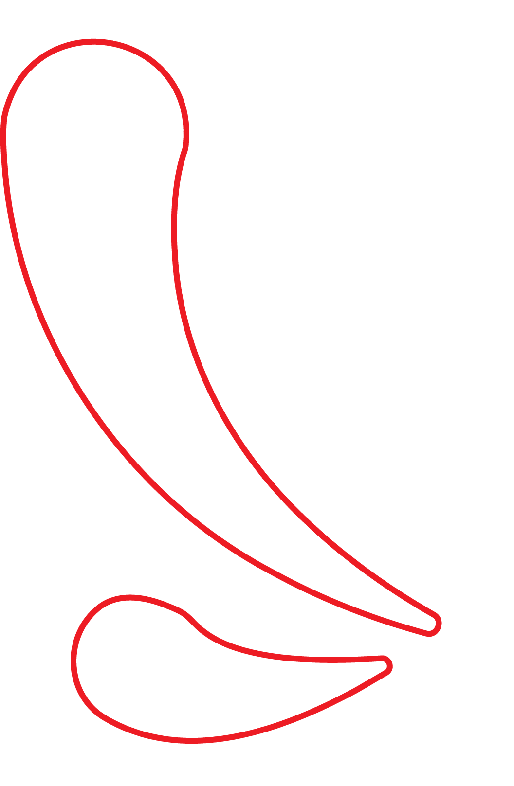 羽