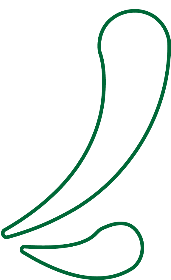 羽